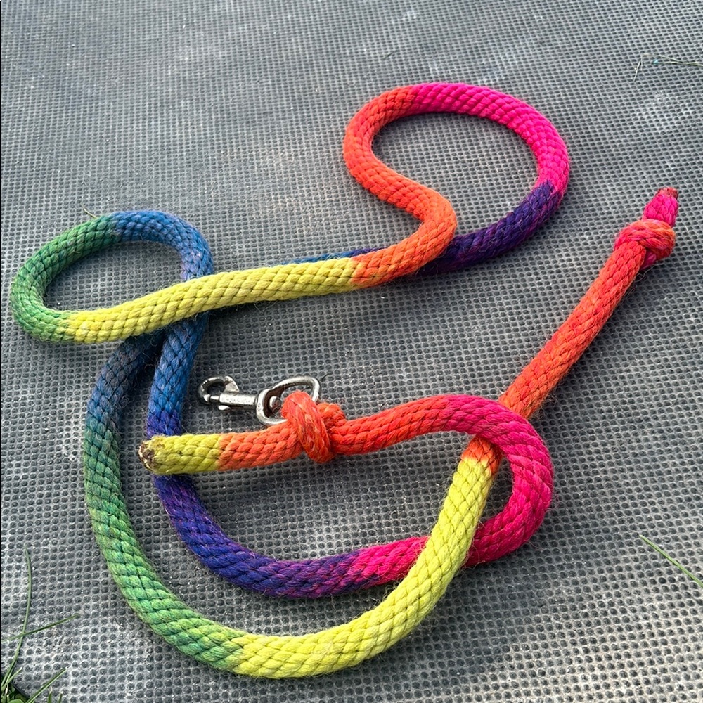Colorful Rainbow horse lead rope